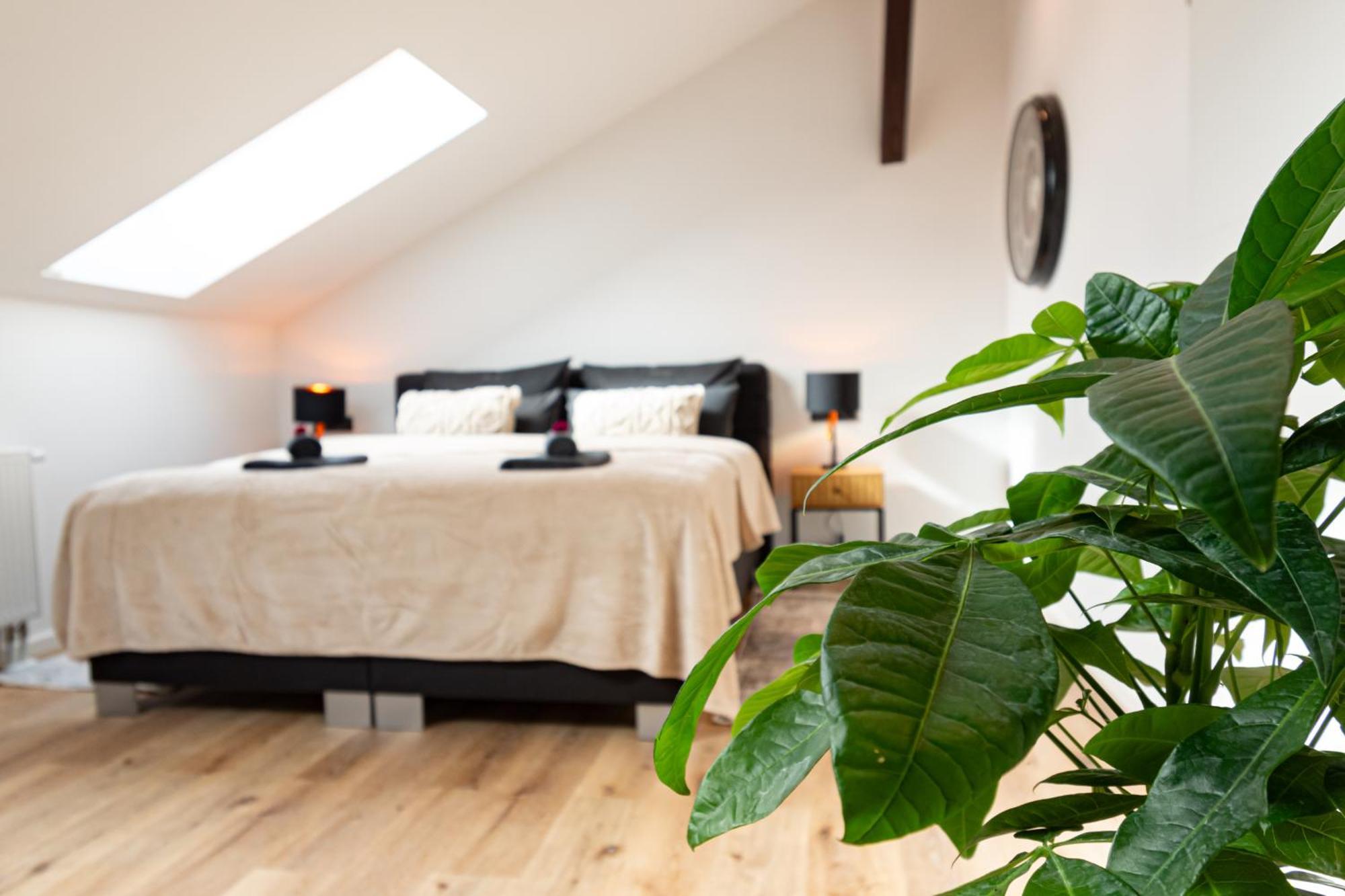 Sweethome - Zentral - Kueche & Parkplatz, Wifi